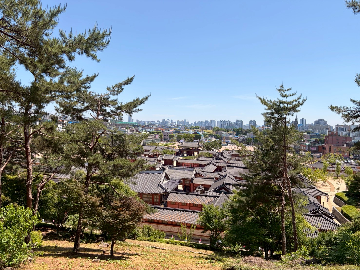 韓国旅行の様子